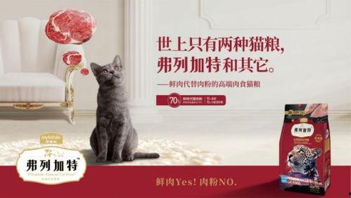 弗列加特最新爆料,尖端科技引领未来军事变革  第1张